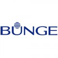 Bunge