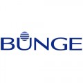 Bunge